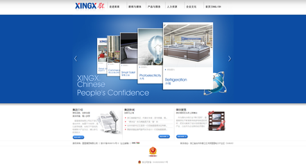 星星集團網站|樂環科技臺州集團網站建設案例