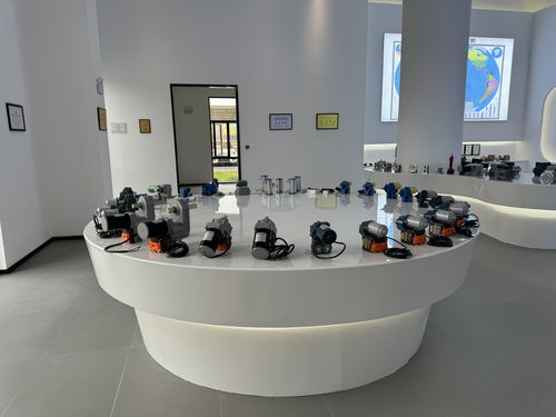 萬(wàn)千氣象看四川 甜美內(nèi)江行丨企業(yè) 回家 拓展 升級(jí) 前景